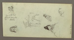 Disegno, Studi di figura, Crinale, forse 1868 da Frederic Edwin Church