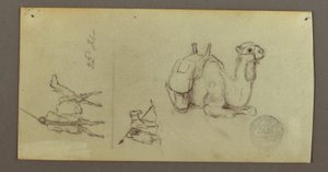 Disegno, Studi di figura e cammello, 22 febbraio 1868