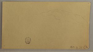 Disegno, Piante in fiore, 1856 ca. da Frederic Edwin Church