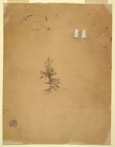 Disegno, Gabbiani, barche a vela, albero, agosto e settembre 1859