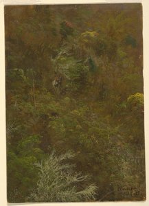 Disegno, collina coperta di cespugli e alberi, luglio 1865