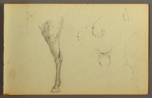 Disegno, Studi di cavalli, forse 1844 da Frederic Edwin Church