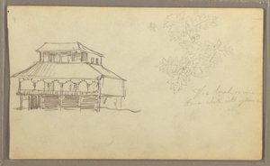 Disegno, Casa, Schizzo botanico, Ecuador o Colombia, 1857 da Frederic Edwin Church