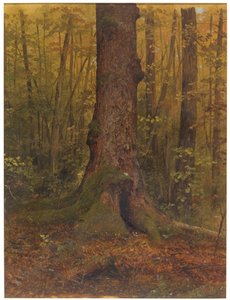 Disegno, Nel bosco, probabilmente Maine, 1850-60 da Frederic Edwin Church