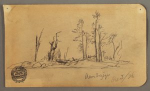Disegno, Isola, 1878