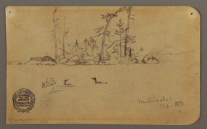Disegno, Isola, Due loon, 1878 da Frederic Edwin Church
