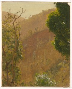 Disegno, Paesaggio, luglio 1865 da Frederic Edwin Church
