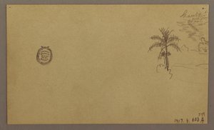 Disegno, Paesaggio; verso: Albero in paesaggio, cielo, maggio-agosto 1865