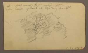 Disegno, Paesaggio, case; verso: cima dell
