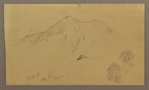 Disegno, Paesaggio, piante, Bloxburgh, agosto 1865 da Frederic Edwin Church