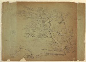 Disegno, Paesaggio con alberi e ruscello [], Isola di Grand Manan, Canada, settembre 1851 da Frederic Edwin Church