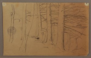 Disegno, parti inferiori di un gruppo di alberi che crescono su un pendio, 1862 da Frederic Edwin Church