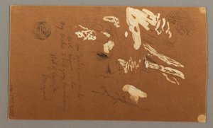 Disegno, metà inferiore dell