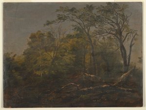 Disegno, Bosco del Maine, 1845-55