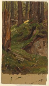 Disegno, boschi del Maine, 1855-65