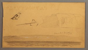 Disegno, Uomo in barca, uccello, scogliere, costa, 6 luglio 1859