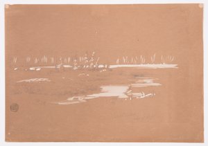 Disegno, Paesaggio paludoso vicino a Millinocket, 20 settembre 1878 da Frederic Edwin Church