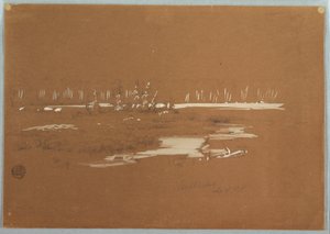 Disegno, Paesaggio paludoso vicino a Millinocket, 20 settembre 1878