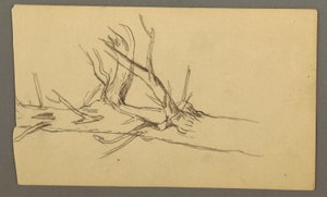 Disegno, sezione centrale di un tronco d
