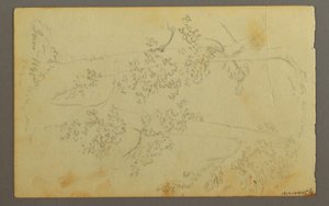 Disegno, Mulino circondato da alberi, 1845 da Frederic Edwin Church
