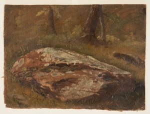 Disegno, Mossy Rock, agosto 1845