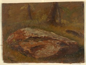 Disegno, Mossy Rock, agosto 1845 da Frederic Edwin Church