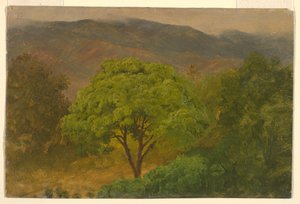 Disegno, Paesaggio montano, agosto 1865