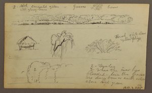 Disegno, catene montuose "entrando a Guayaquil"; verso: riva del fiume, schizzi botanici, forse 1857 da Frederic Edwin Church