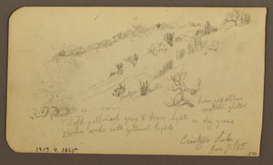 Disegno, Montagna, Zapotlan; verso: Collina boscosa, Lago Cuitzeo, gennaio 1885 da Frederic Edwin Church