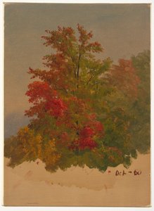 Disegno, Mt. Desert Island , Maine, ottobre 1860 da Frederic Edwin Church