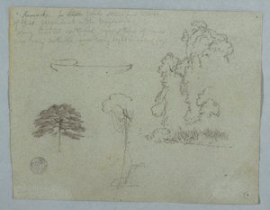 Disegno, Studi naturalistici dal Rio Magdalena, Colombia:  Alberi, viti e una canoa, maggio 1853 da Frederic Edwin Church