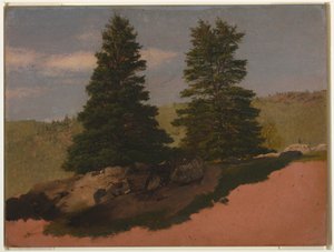 Disegno, Paesaggio del New England (due pini), 1850