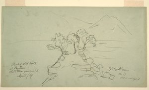 Disegno, parte del vecchio muro di Paestum, con gli ulivi che vi crescono sopra, aprile 1869 da Frederic Edwin Church