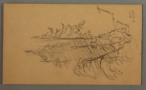 Disegno, Alberi di pino, forse 1868 da Frederic Edwin Church