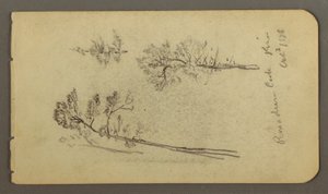 Disegno, Studi sul pino, 1878 da Frederic Edwin Church
