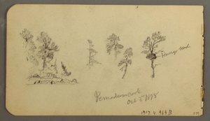 Disegno, Studi sul pino, 1878 da Frederic Edwin Church