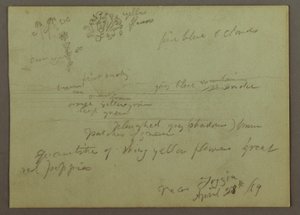 Disegno, Studio di piante e paesaggio, 28 aprile 1869