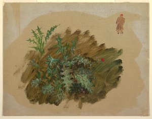 Disegno, Studi di piante, 1865 da Frederic Edwin Church