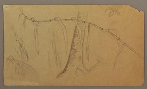 Disegno, Paesaggio marino, 1865