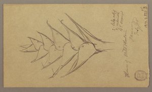 Disegno, Paesaggio marino, 29 aprile 1865
