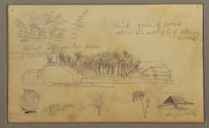 Disegno, Schizzi, Ecuador o Colombia; verso: Schizzi, Ecuador o Colombia, 1857.
