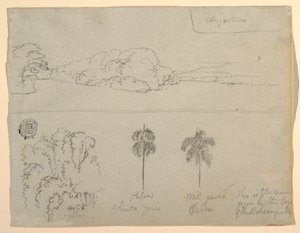 Disegno, schizzi dalla Colombia:  Riva di un fiume o di una baia, e alberi., 1853