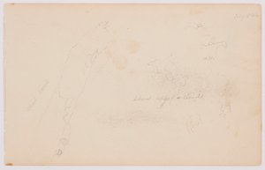Disegno, Schizzi di nuvole e betulla morta, luglio 1844 da Frederic Edwin Church