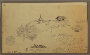 Disegno, Cielo sopra il mare; verso: schizzi botanici, Tetti, maggio 1857