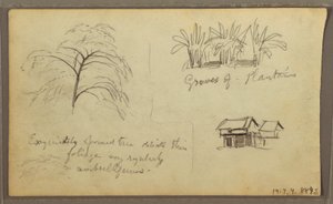 Disegno, angolo di strada a Guaquil, Ecuador; verso: schizzi botanici, casa, Ecuador o Colombia, 1857 da Frederic Edwin Church