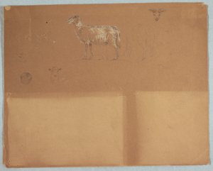 Disegno, Studi di pecore, Ecuador o Colombia, 1853 da Frederic Edwin Church