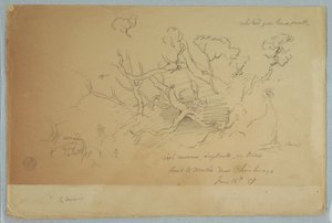 Disegno, Studi di alberi e rocce, Strada per Mocho vicino a Chimborazo, Ecuador, 16 giugno 1857 da Frederic Edwin Church