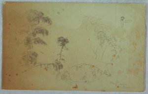 Disegno, studi di alberi con dettagli di bambù e un piccolo dettaglio di un uomo che trasporta banane sulla testa, Bellevue, Giamaica, agosto 1865 da Frederic Edwin Church