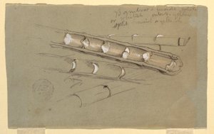 Disegno, Studio di bambù, giugno 1857 da Frederic Edwin Church