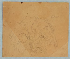 Disegno, Albero; verso: Veduta di una chiesa, due donne inglesi del 1636, studio di un cavallo, ottobre 1845
